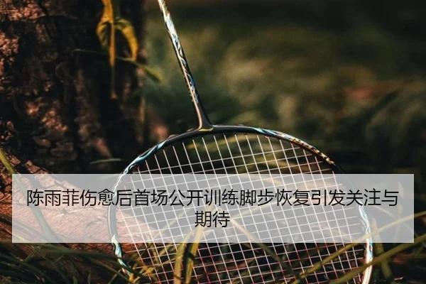 陈雨菲伤愈后首场公开训练脚步恢复引发关注与期待